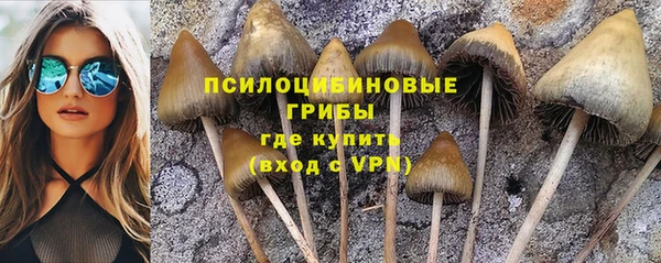 скорость Касимов