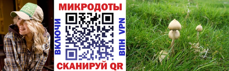 сколько стоит  Медвежьегорск  Галлюциногенные грибы мицелий 