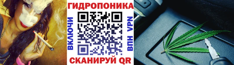Бошки Шишки Bruce Banner  гидра сайт  Медвежьегорск  дарнет шоп 